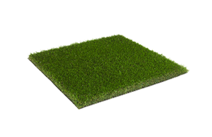 Oryzon Grass Wanderlust  Rasen